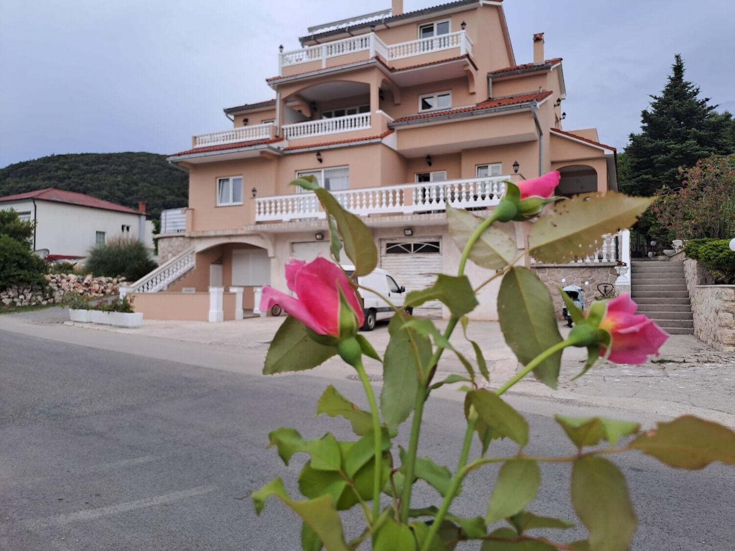 Apartments Mig - With Beautiful Garden Supetarska Draga Exterior photo
