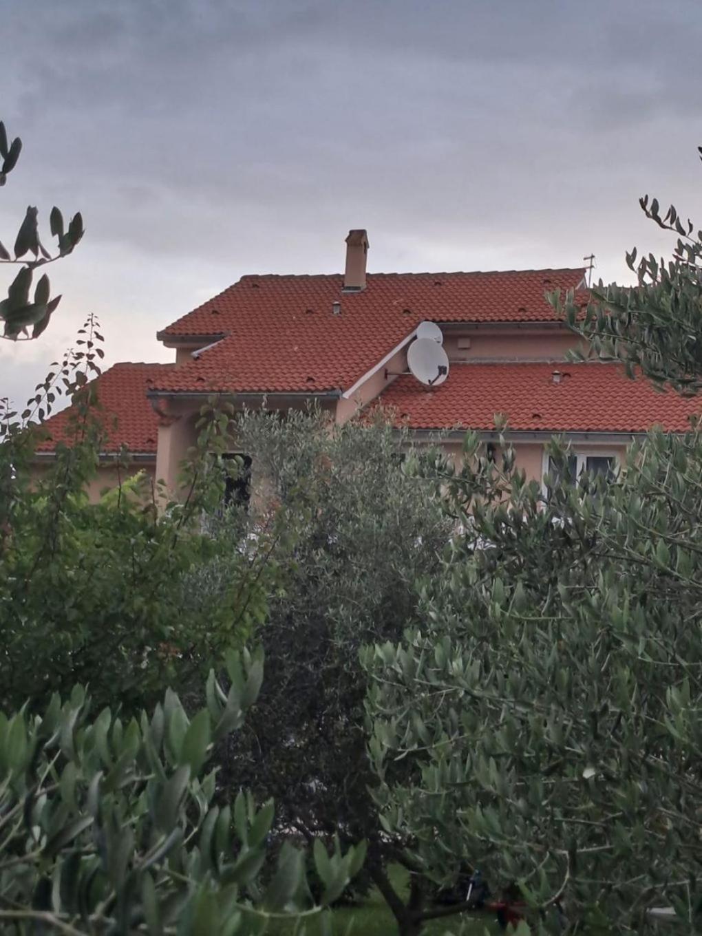 Apartments Mig - With Beautiful Garden Supetarska Draga Exterior photo